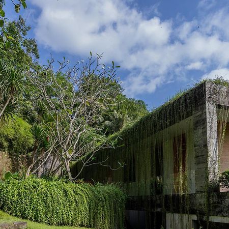 Chameleon Villa Bali ตาบานัน ภายนอก รูปภาพ